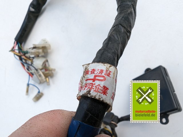 PXL_20240528_144337379